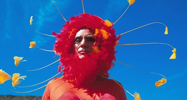 Ørkendronningen Priscilla - CIN