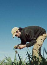 Jeg tror vi starter som lys