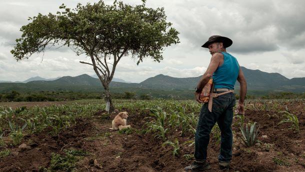 AGAVE: The Spirit of a Nation