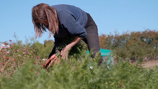 GRØN BIO: LANDBRUGETS NATUR